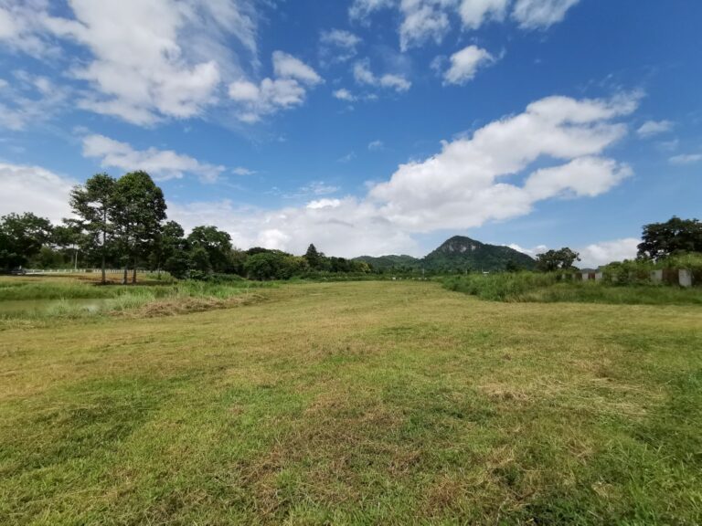 Baan amphur Chonburi Land for sale